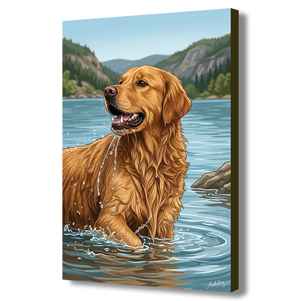 Golden retriever